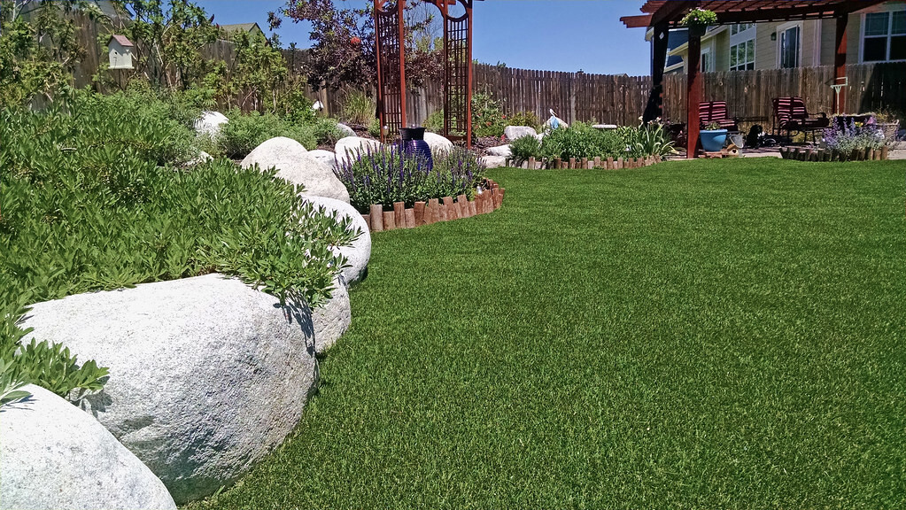 Freshly restored artificial grass lawn in an Essex back garden